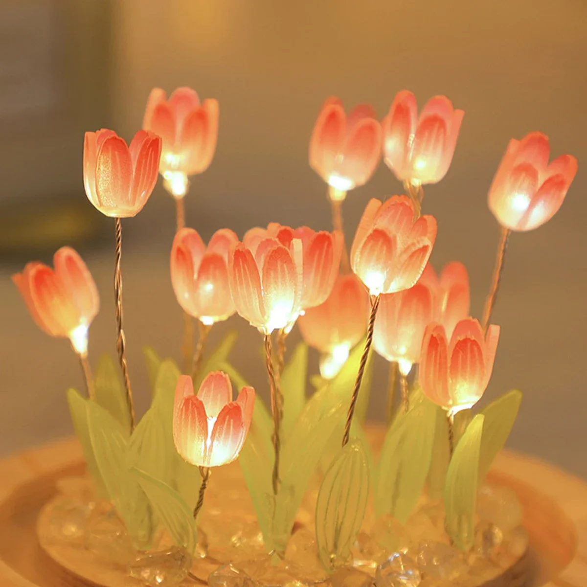 DIY Handmade Mini Tulip Night  - đánh giá và giá Kids Outdoor Movie Night